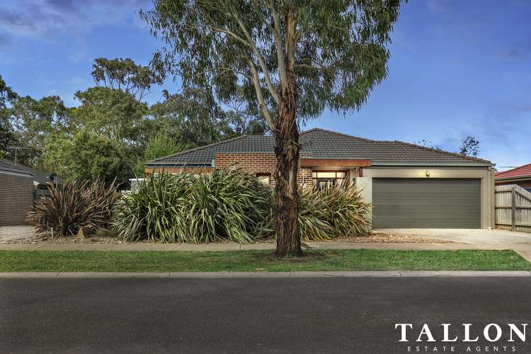 Main view of Homely house listing, 39 Spruce Drive, Hastings VIC 3915