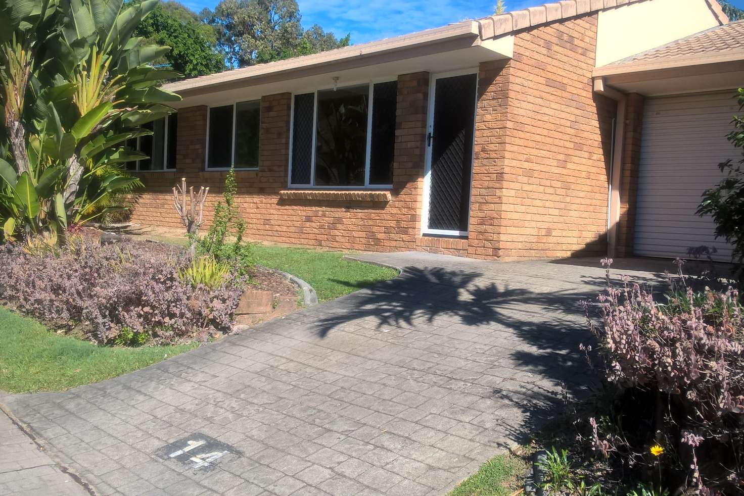 Main view of Homely villa listing, 14/97 Edmund Rice Drive, Southport QLD 4215