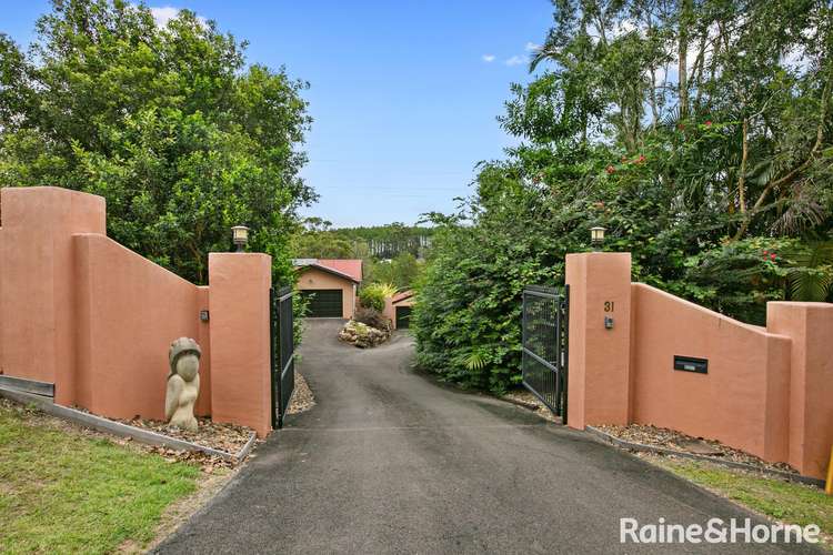 Main view of Homely house listing, 31 Swift Drive, Cooroy QLD 4563