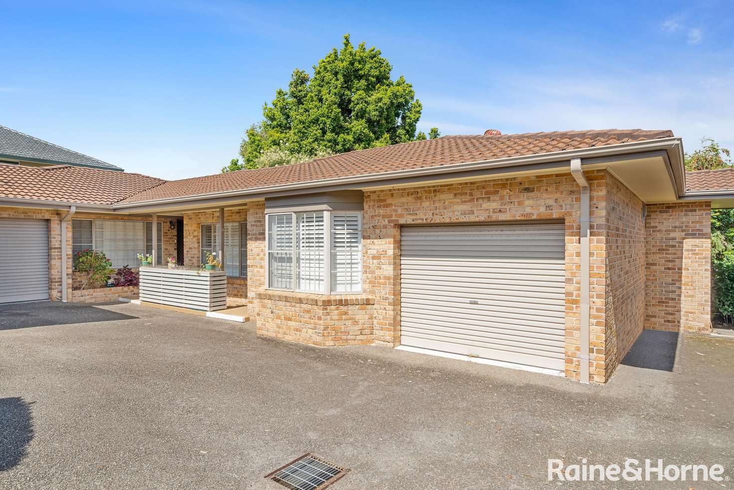 Main view of Homely villa listing, 6/9-13 Wells Street, East Gosford NSW 2250