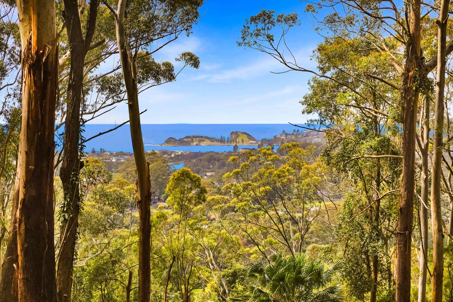 Main view of Homely house listing, 162 Matcham Road, Matcham NSW 2250