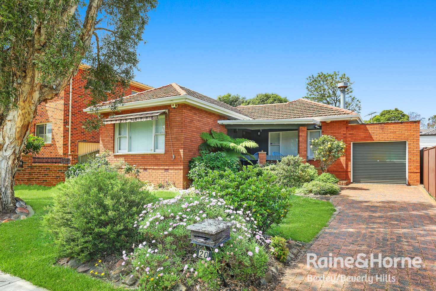 Main view of Homely house listing, 20 Daisy Street, Roselands NSW 2196