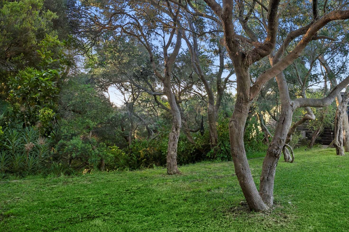 Main view of Homely residentialLand listing, 68 Dunham Street, Rye VIC 3941