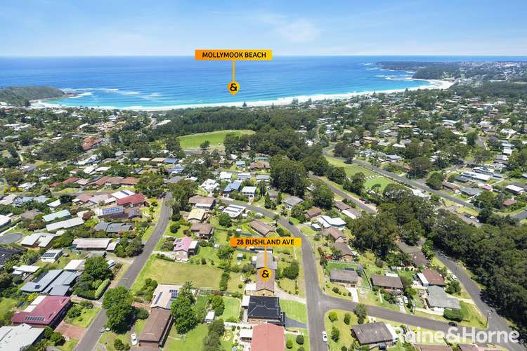 Main view of Homely house listing, 28 Bushland Avenue, Mollymook Beach NSW 2539