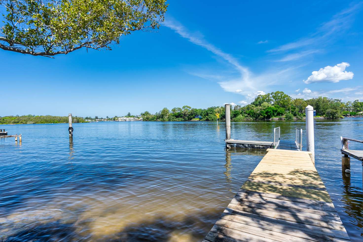 Main view of Homely house listing, 39 Waddiwong Road, Coomera QLD 4209