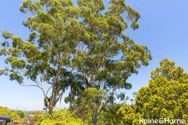 Fifth view of Homely apartment listing, 4/33 Milray Ave, Wollstonecraft NSW 2065