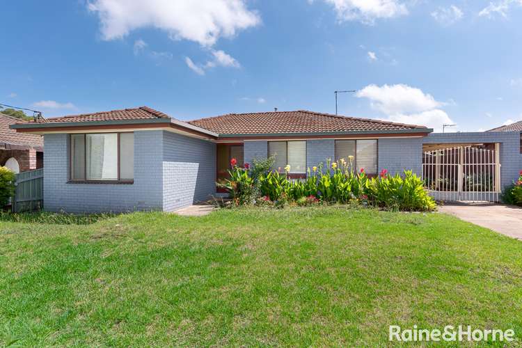 43 Crawford Street, Ashmont NSW 2650