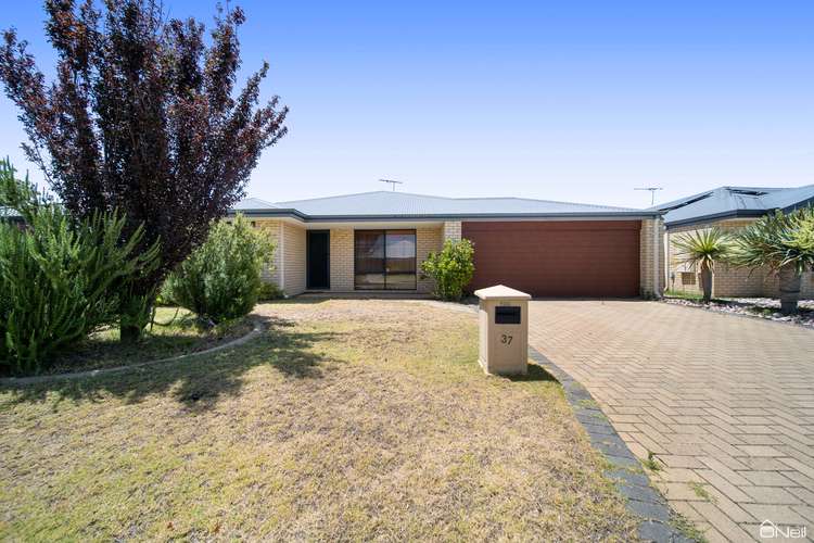 Second view of Homely house listing, 37 Milano Loop, Seville Grove WA 6112