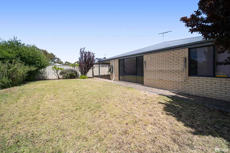 Fifth view of Homely house listing, 37 Milano Loop, Seville Grove WA 6112