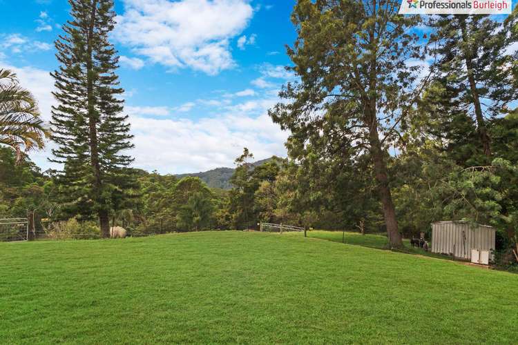 Third view of Homely acreageSemiRural listing, 136 Araluen Road, Tallebudgera Valley QLD 4228