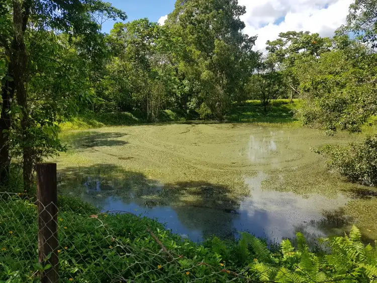 Second view of Homely house listing, 77 Santacatterina Road, Finlayvale QLD 4873