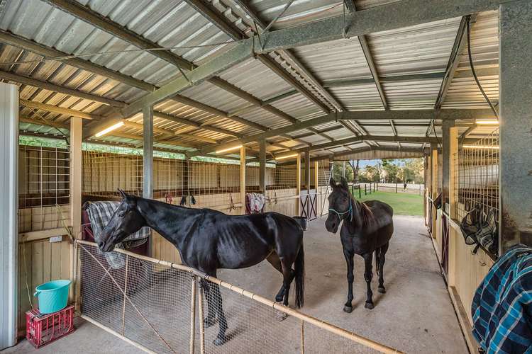 Main view of Homely house listing, 76 Mansfield Road, Elimbah QLD 4516