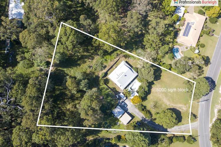 Second view of Homely house listing, 41 Monday Drive, Tallebudgera Valley QLD 4228