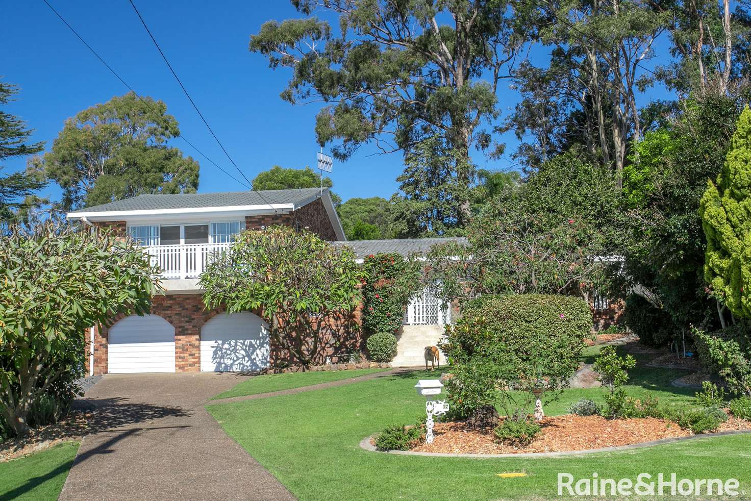 Main view of Homely house listing, 17 Treetops Crescent, Mollymook Beach NSW 2539