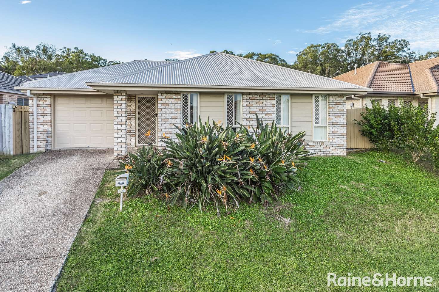 Main view of Homely house listing, 31 Montree Crct, Kallangur QLD 4503