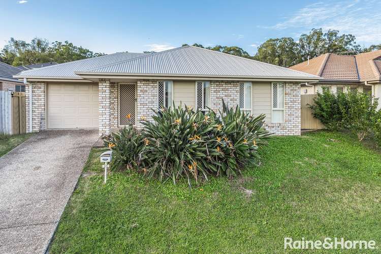 Main view of Homely house listing, 31 Montree Crct, Kallangur QLD 4503