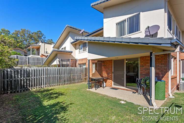 Main view of Homely house listing, 41/13 Springfield College Drive, Springfield QLD 4300