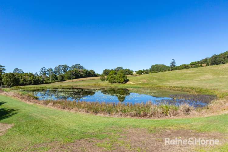 Sixth view of Homely house listing, 970 Cudgera Creek Road, Cudgera Creek NSW 2484