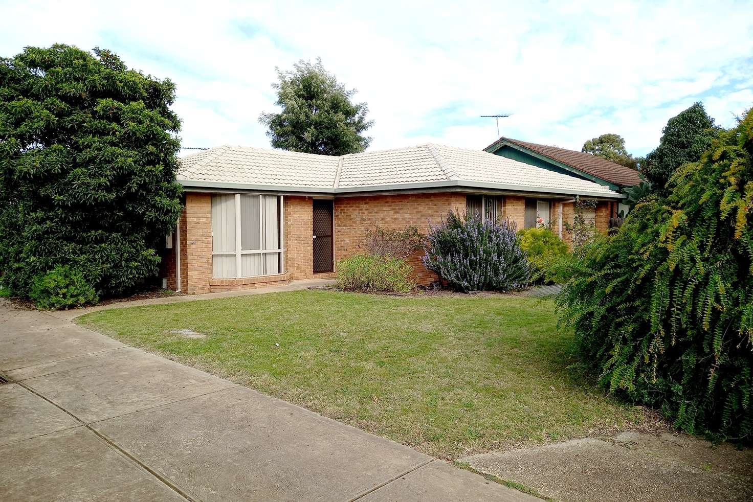 Main view of Homely house listing, 1/51 McKenzie Street, Melton VIC 3337