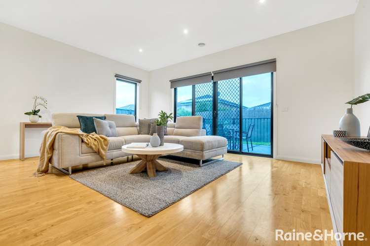 Fifth view of Homely house listing, 8 Cordyline Grove, Craigieburn VIC 3064