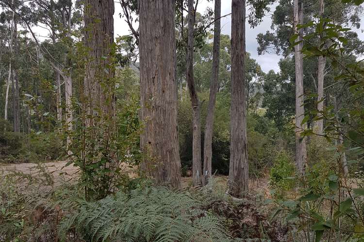 Seventh view of Homely residentialLand listing, 206A Old Jetty Road, Eaglehawk Neck TAS 7179