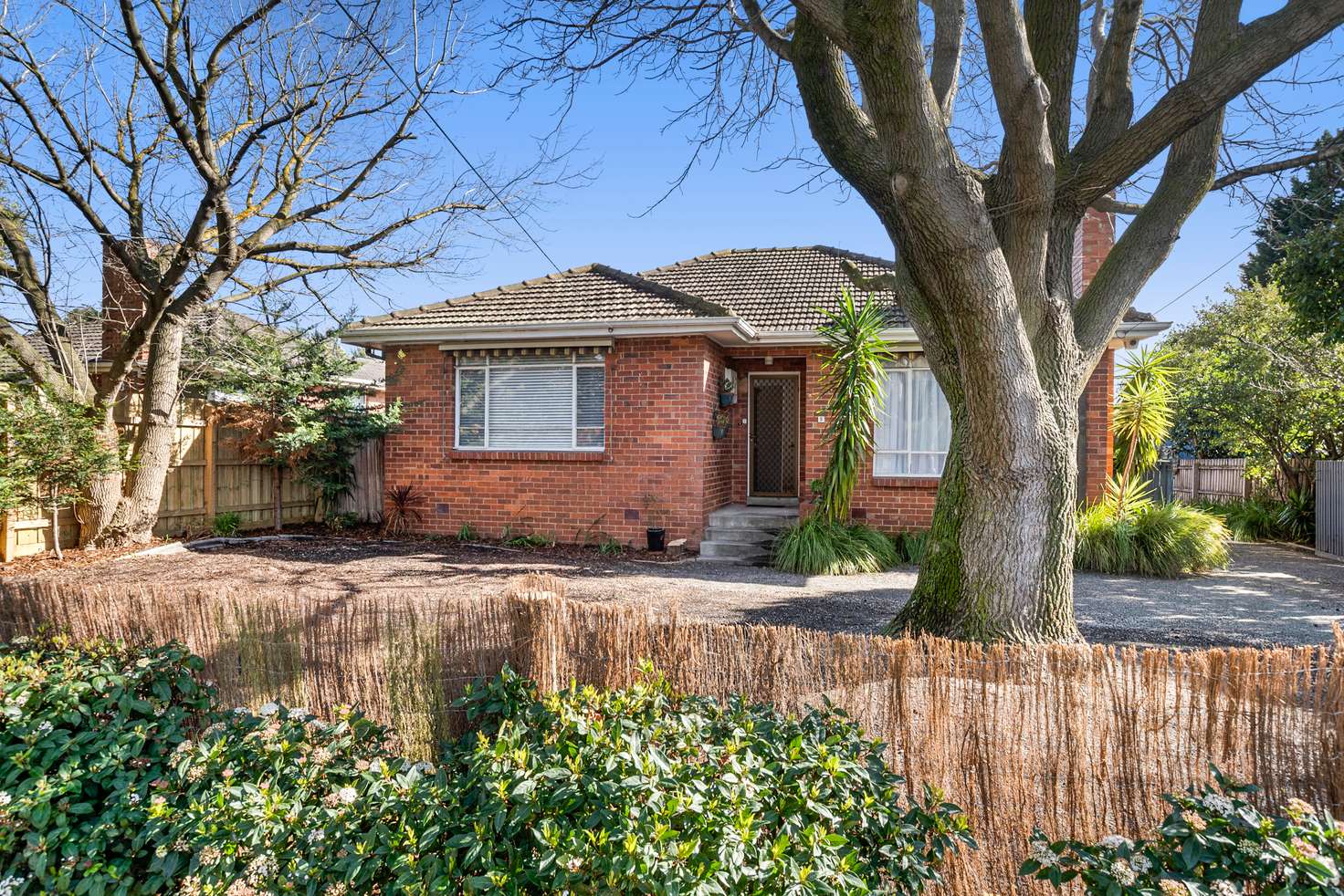 Main view of Homely house listing, 5 Leith Crescent, Hampton East VIC 3188