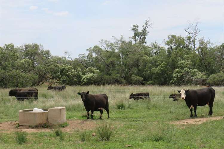 "Westdale" Horton Road, Upper Horton NSW 2347