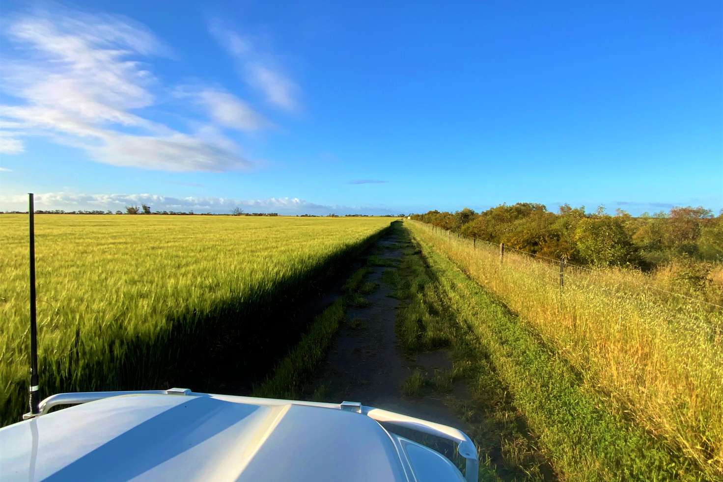 Main view of Homely cropping listing, 380 Buccleuch South Road, Sherlock SA 5301