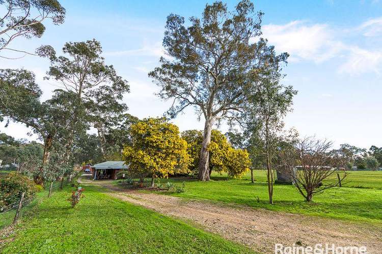 44 Battunga Road, Meadows SA 5201