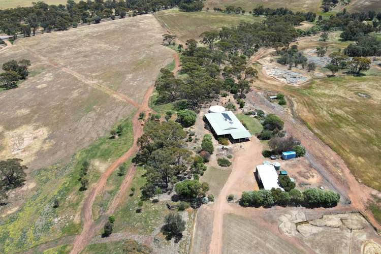 Main view of Homely lifestyle listing, 5157 York-Williams Road, West Pingelly WA 6308