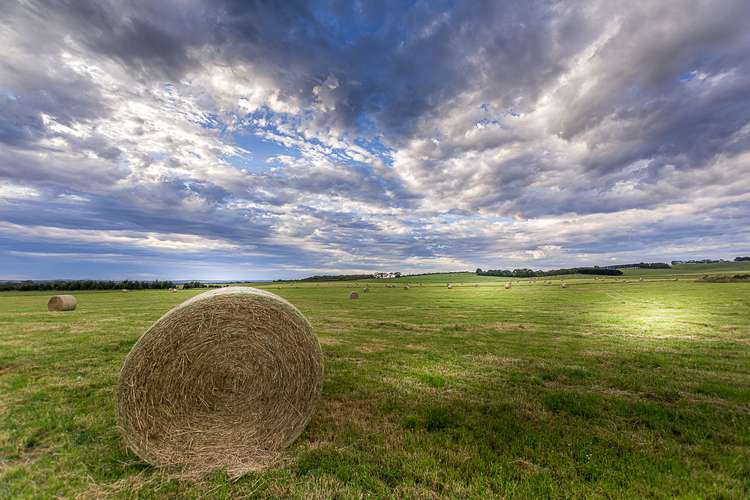 Main view of Homely livestock listing, 185 Kurrles Road, Tarwin VIC 3956