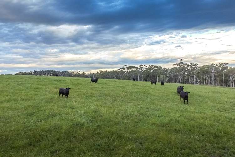 Third view of Homely livestock listing, 185 Kurrles Road, Tarwin VIC 3956