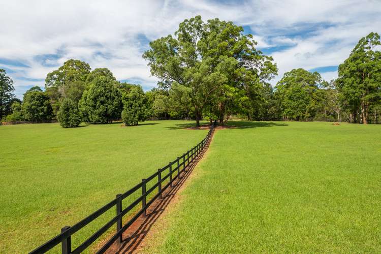 Sixth view of Homely acreageSemiRural listing, 174 Long Point Drive, Lake Cathie NSW 2445