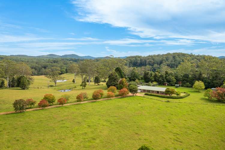 Main view of Homely lifestyle listing, 255 Cooks Rd, Elands NSW 2429