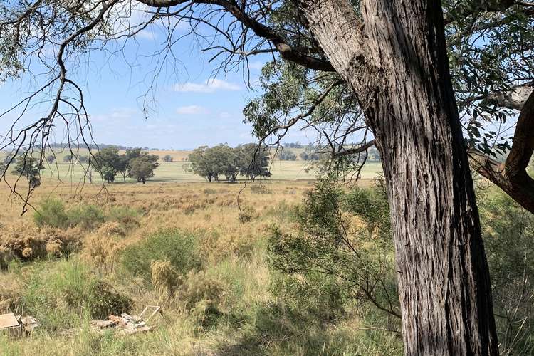 Main view of Homely house listing, 104 Suzanne Road Tallawang, Gulgong NSW 2852