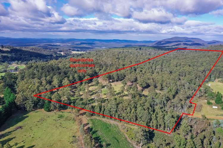 53 New Country Marsh Road, Levendale TAS 7120