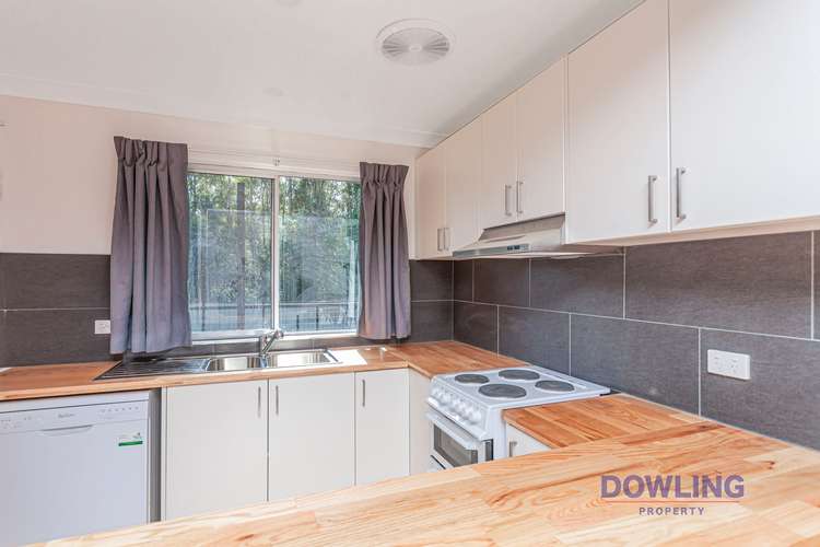 Third view of Homely house listing, 16 Casuarina Avenue, Medowie NSW 2318