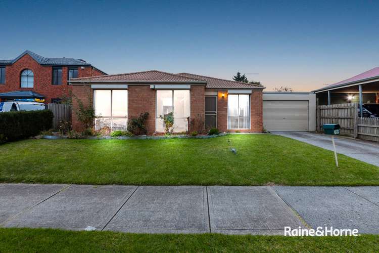 Main view of Homely house listing, 19 Daphne Way, Cranbourne North VIC 3977