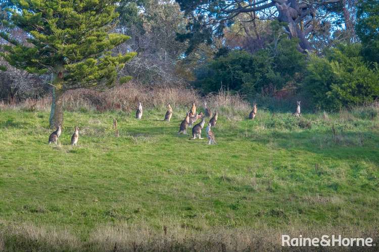 Seventh view of Homely residentialLand listing, 212 Panorama Drive, Gisborne VIC 3437