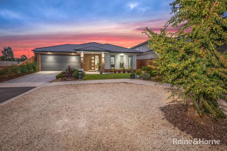 Main view of Homely house listing, 16 Cannon Court, Sunbury VIC 3429