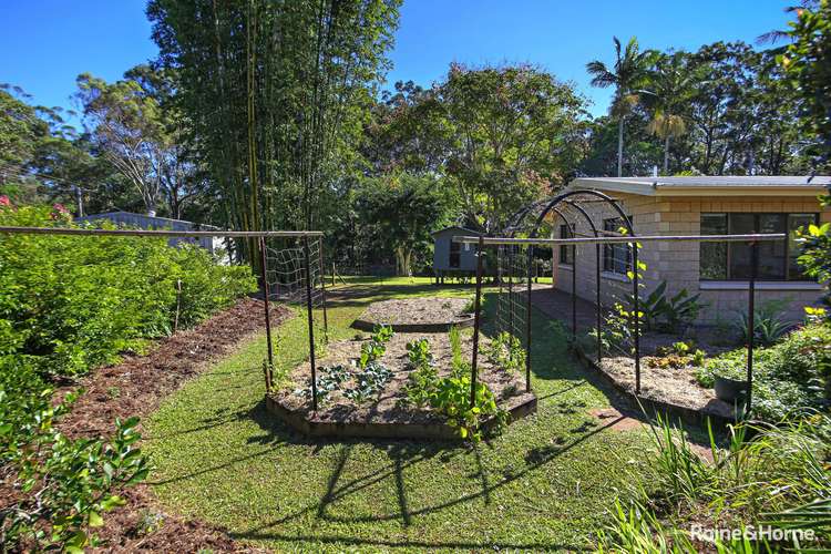 Third view of Homely house listing, 7 Ponderosa Drive, Cooroy QLD 4563