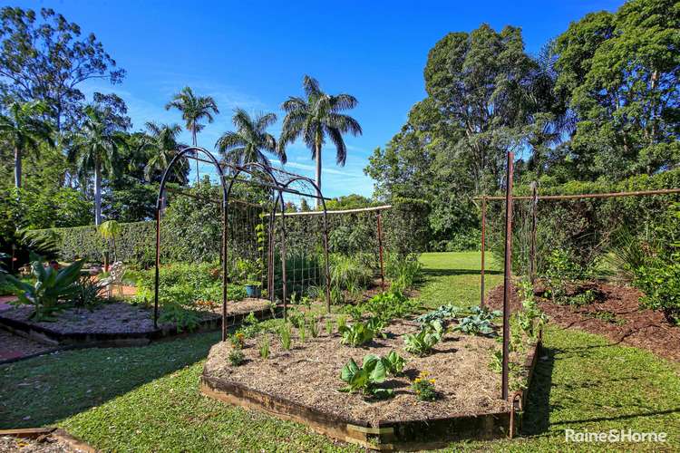 Fourth view of Homely house listing, 7 Ponderosa Drive, Cooroy QLD 4563