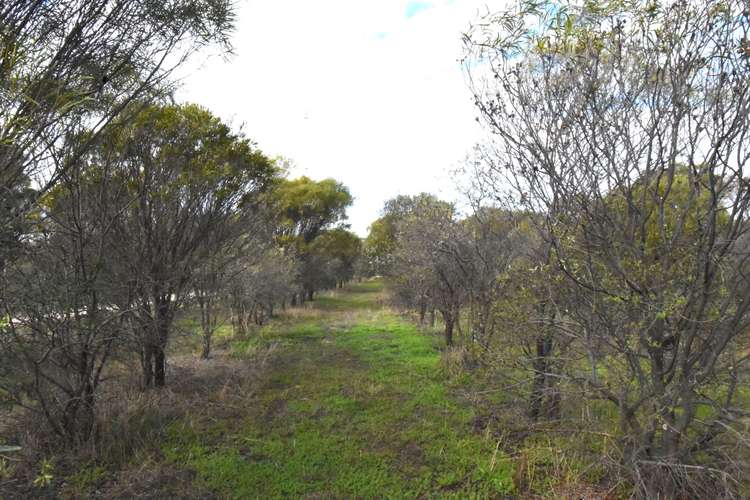 Main view of Homely horticulture listing, Lot 18493 Tutanning Road, East Pingelly WA 6308