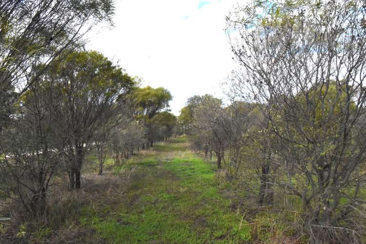 Lot 18493 Tutanning Road, East Pingelly WA 6308