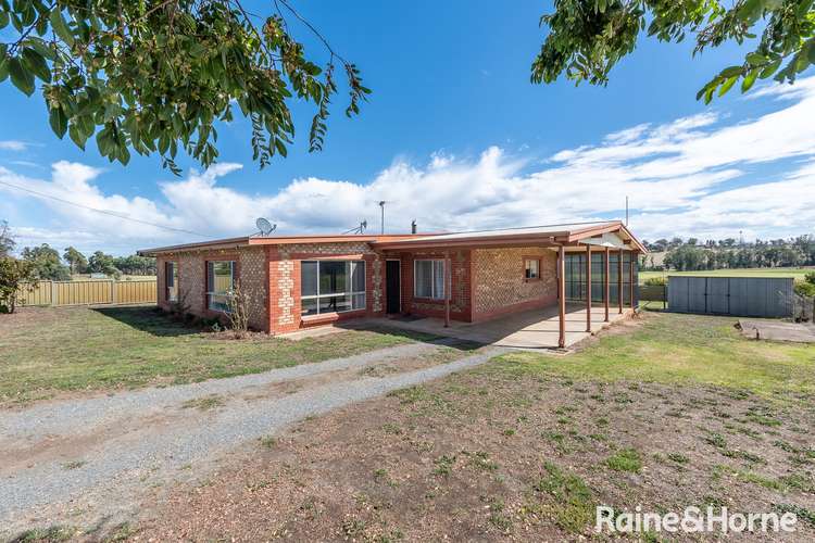 Main view of Homely house listing, 181 Pfeiffer Road, Woodside SA 5244