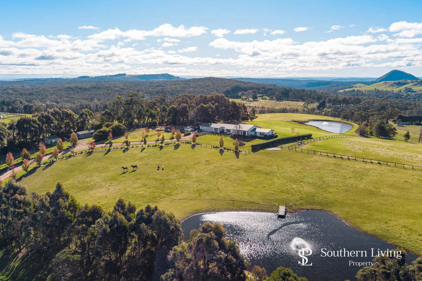 Main view of Homely house listing, 41 Harrison Lane, High Range NSW 2575