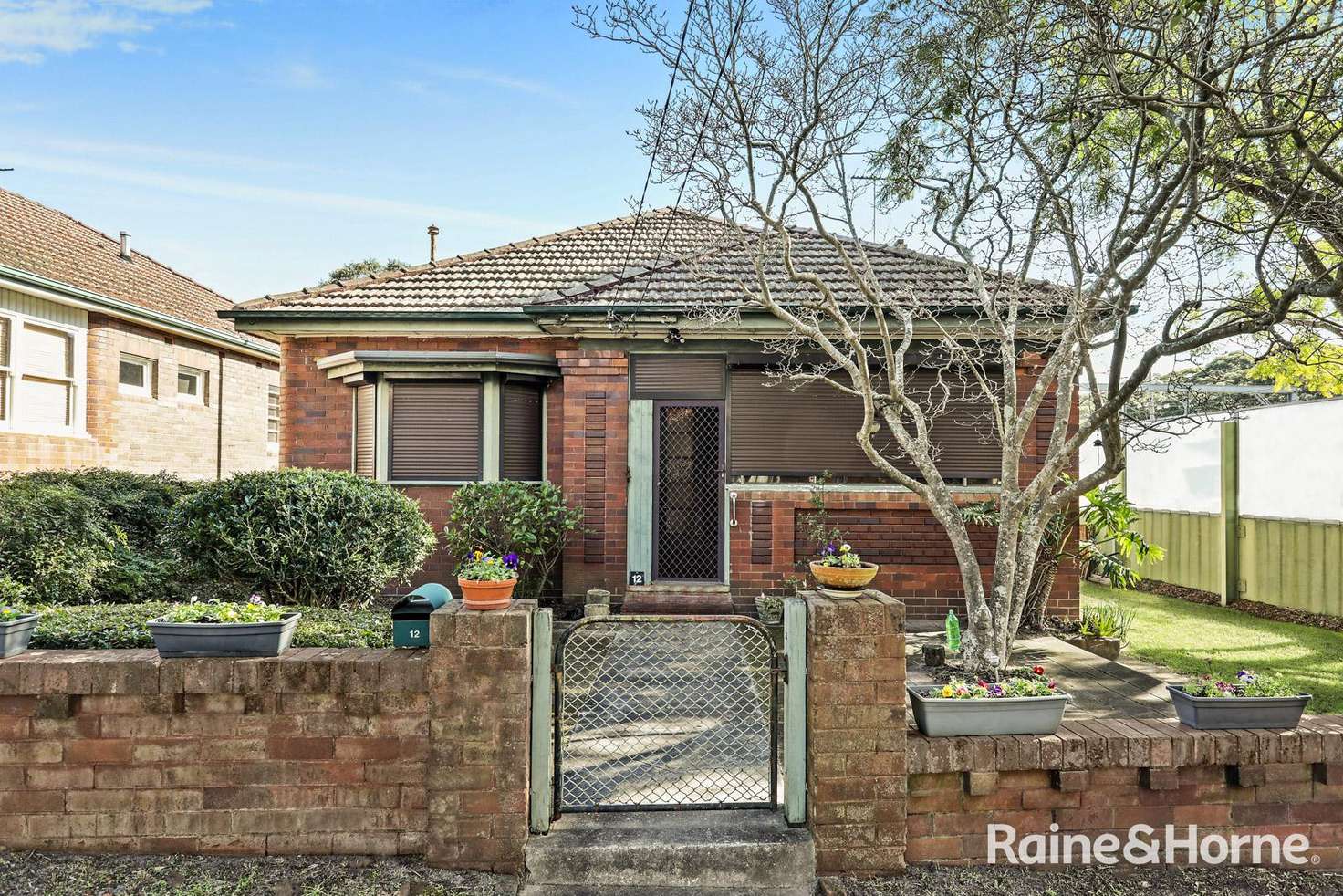 Main view of Homely house listing, 12 Water Street, Bardwell Park NSW 2207