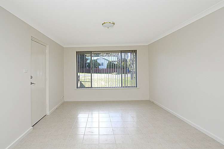Fifth view of Homely semiDetached listing, 55 Stratton Street, Hamilton Hill WA 6163