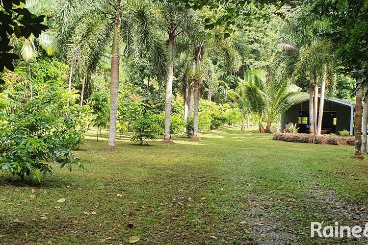 116 Hickory Road COW BAY, Daintree QLD 4873