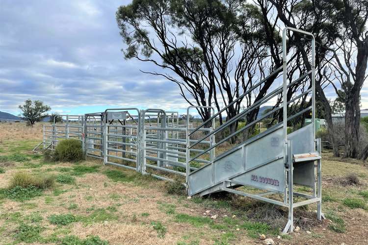 Fourth view of Homely lifestyle listing, "Yarra Park" 781 Wandobah Road, Gunnedah NSW 2380